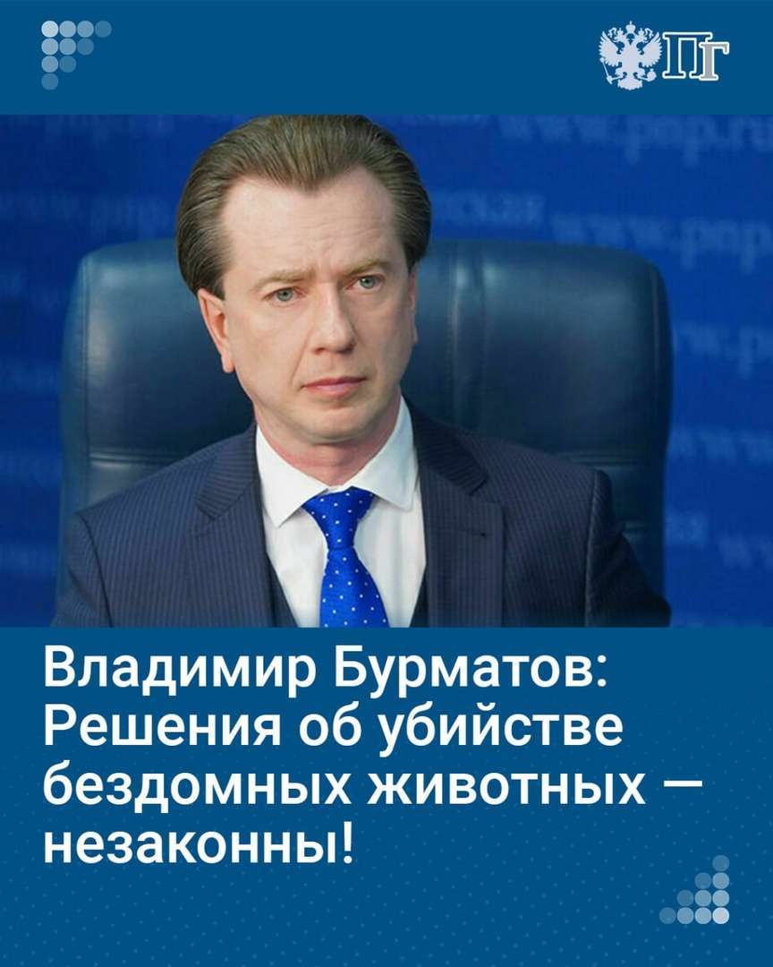 Депутат Госдумы Владимир Бурматов намерен оспорить одобрение в Бурятии  эвтаназии бездомных животных