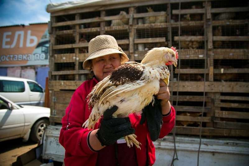 Купить кур в улан удэ. Торговля курицами. Птичий рынок Улан-Удэ. Рынок крестьянский Улан-Удэ. Город Улан-Удэ птичий рынок.