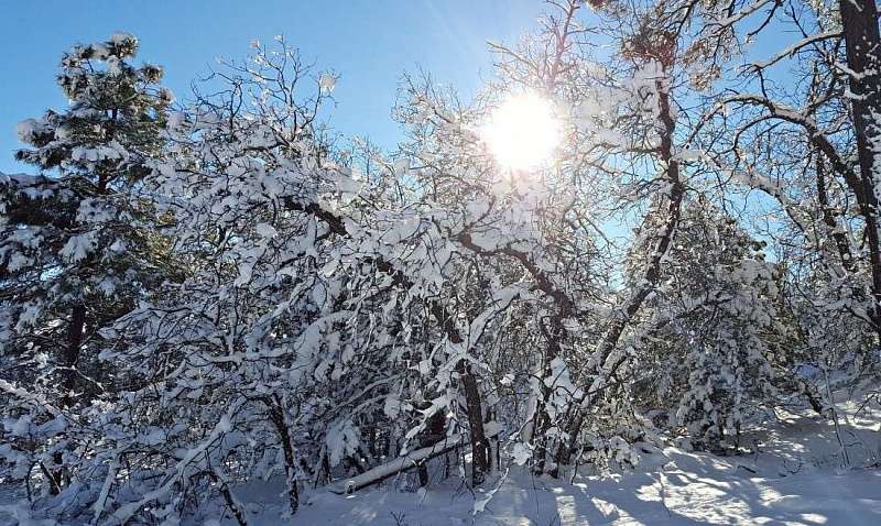 Погода в оке бурятия