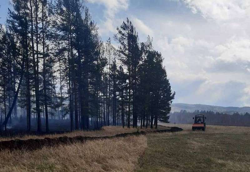 Лес 9. Лес Бурятии. Лесная охрана Иволгинск. Ветер в Бурятии.